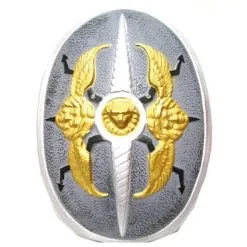 Costume De Petit Chevalier Blason Lion -Camouflage Soldes Boutique Bouclier avec blason tete de tigre et anges dores