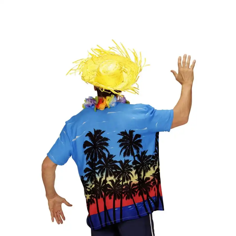 Chemise De Touriste Des îles Pour Homme 2 Chemise De Touriste Des îles Pour Homme – Image 2