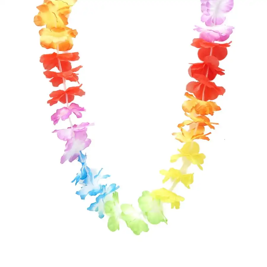 Collier Hawaïen Multicolore 1 Collier Hawaïen Multicolore