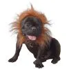 Costume De Lion Pour Chien