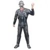 Costume De Ultron Luxe Pour Homme Avengers 2
