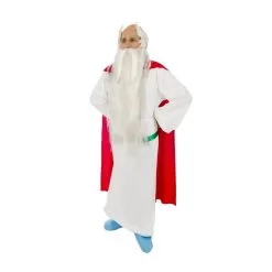 Déguisement De Panoramix Pour Adulte