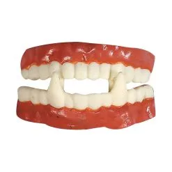 Dentier De Vampire En Caoutchouc, Professionnel