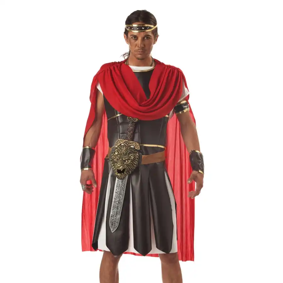 Epée De Gladiateur Avec Gaine De Rangement 2 Epée De Gladiateur Avec Gaine De Rangement – Image 2