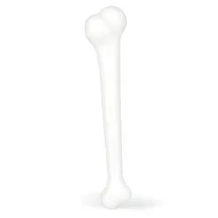 Faux Os Blanc De 40 Cm