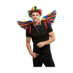 Paire D'ailes GayPride Avec Plumes, 80cm