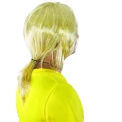 Perruque De Brice De Nice