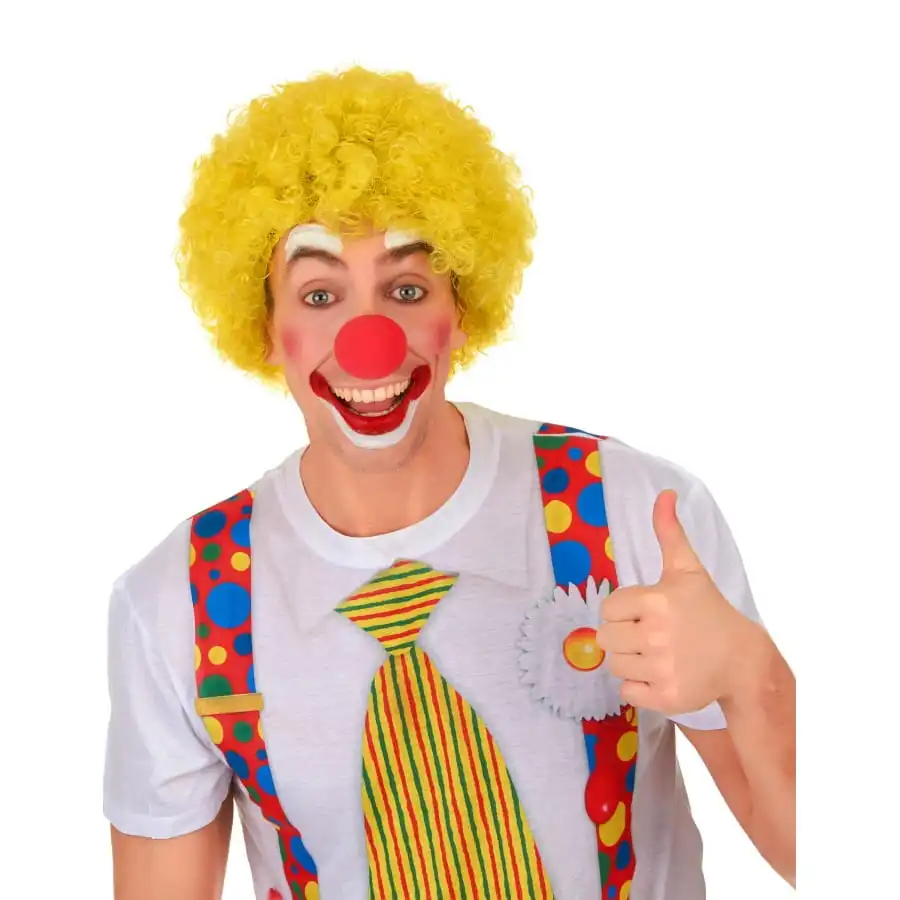 Perruque De Clown Afro 2 Perruque De Clown Afro – Image 2