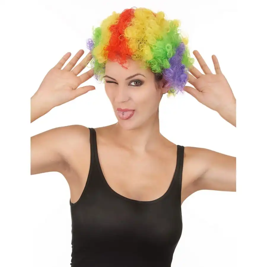 Perruque De Clown Afro Multiclore Pour Adulte 4 Perruque De Clown Afro Multiclore Pour Adulte â Image 4