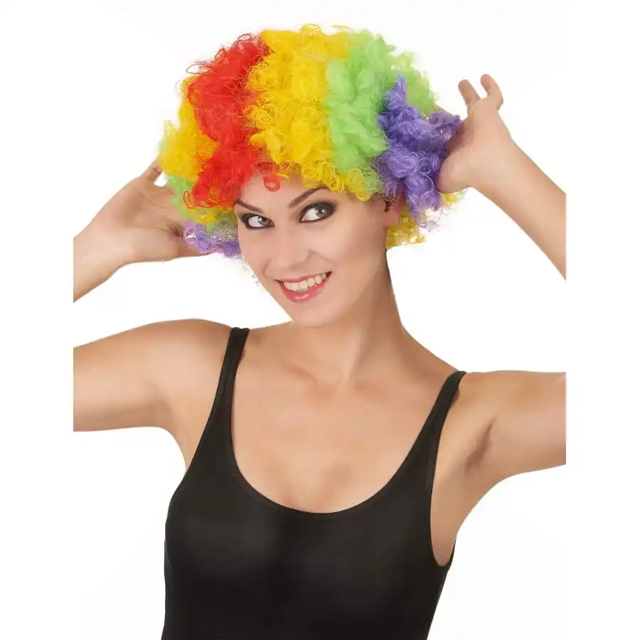 Perruque De Clown Afro Multiclore Pour Adulte 2 Perruque De Clown Afro Multiclore Pour Adulte â Image 2