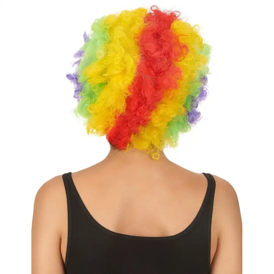 Perruque De Clown Afro Multiclore Pour Adulte 3 Perruque De Clown Afro Multiclore Pour Adulte â Image 3