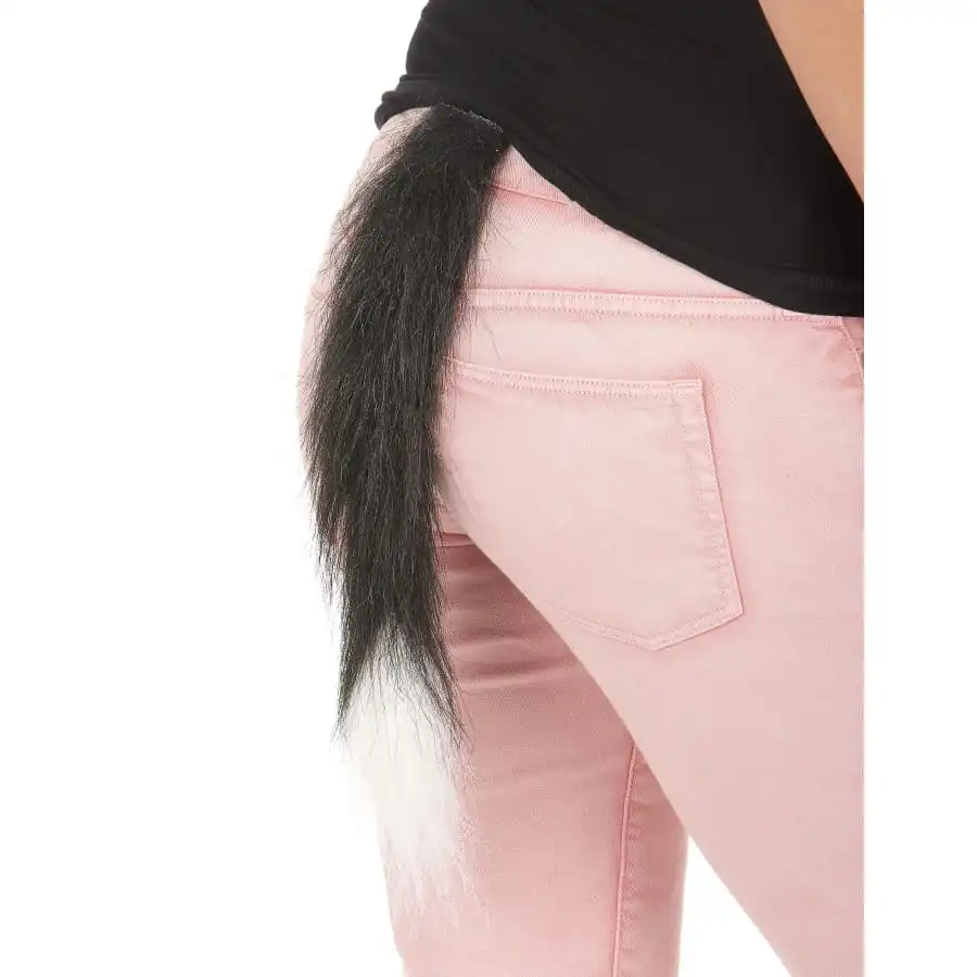 Queue De Chat Blanche Et Noire 2 Queue De Chat Blanche Et Noire – Image 2