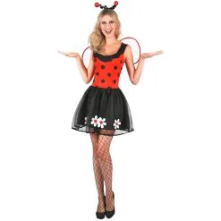 Robe Coccinelle Avec Oreilles Et Ailes Pour Adulte