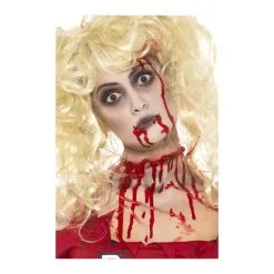 Set Maquillage Zombie