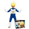 Tenue De Vegeta Super Guerrier Enfant, Coffret